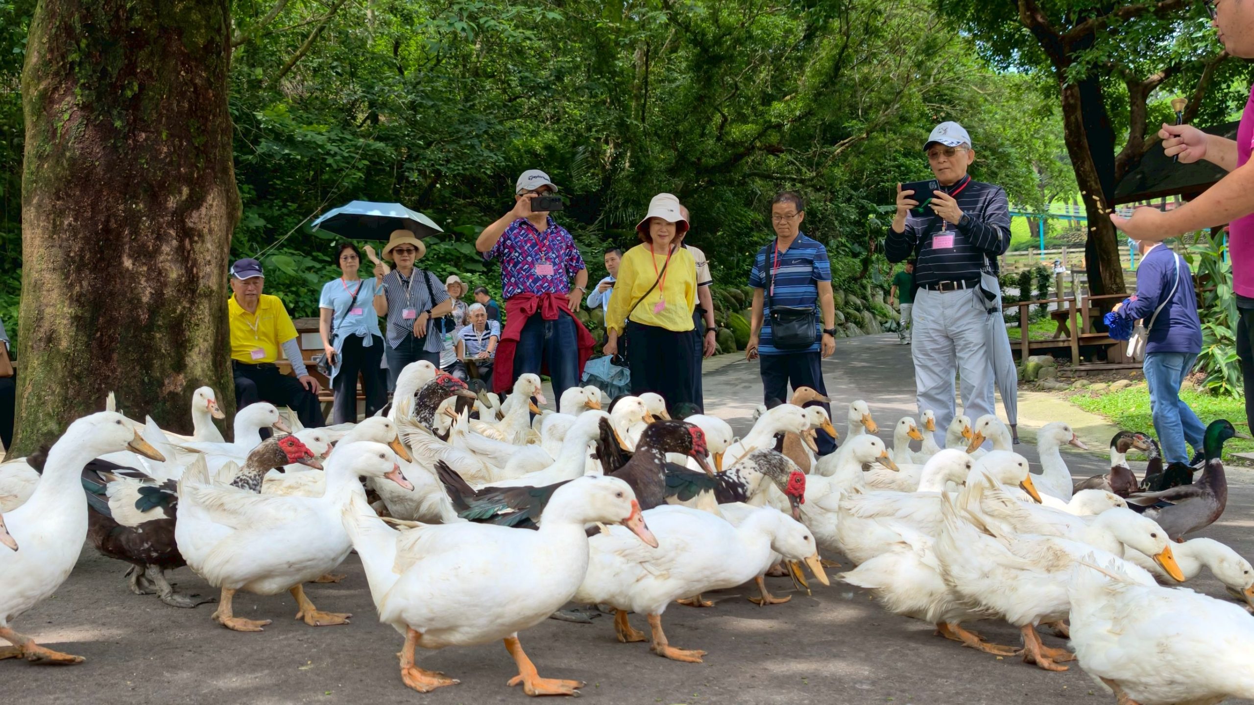 https://weaving.org.tw/wp-content/uploads/2026/06/LINE_ALBUM_織布公會，29期活力成長營照片第二天_260604_89-scaled.jpg